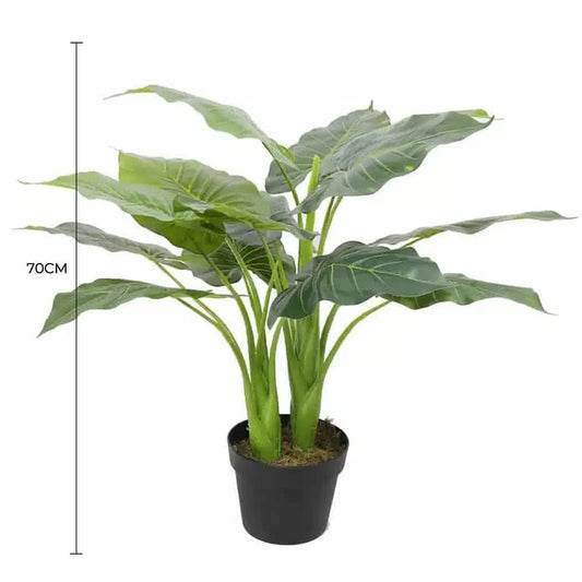 Artificial Potted Taro Plant / Elephant Ear 70cm V637-DP1159626