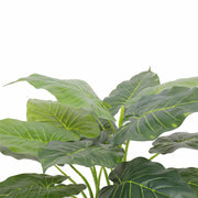 Artificial Potted Taro Plant / Elephant Ear 70cm V637-DP1159626