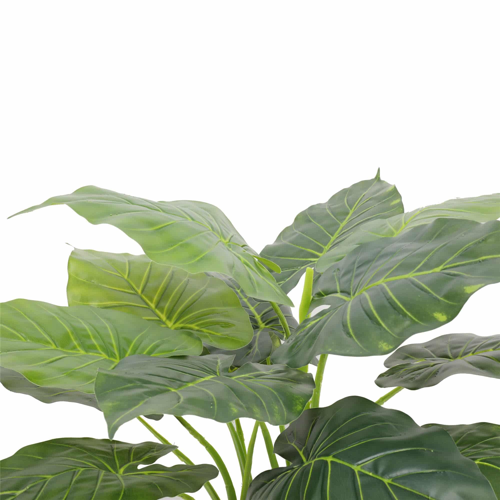 Artificial Potted Taro Plant / Elephant Ear 70cm V637-DP1159626