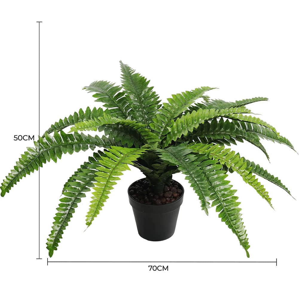 Artificial Potted Natural Green Boston Fern (50cm high 70cm wide) V637-DP1159628