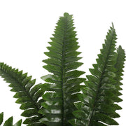 Artificial Potted Natural Green Boston Fern (50cm high 70cm wide) V637-DP1159628