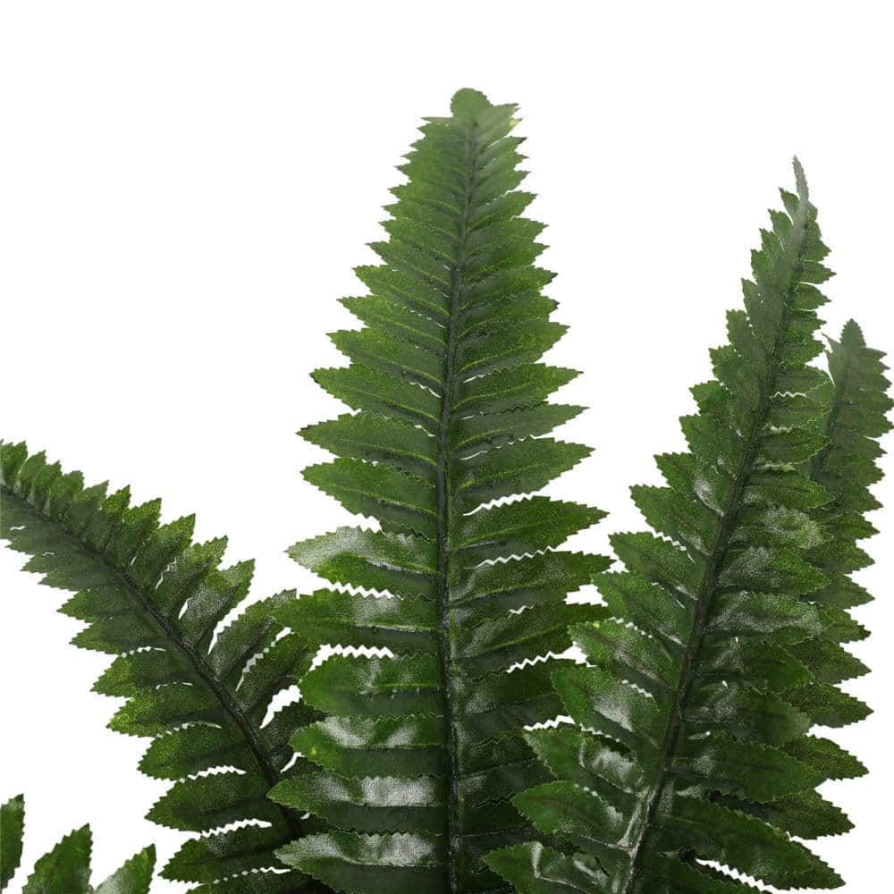 Artificial Potted Natural Green Boston Fern (50cm high 70cm wide) V637-DP1159628