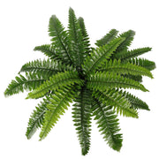 Artificial Potted Natural Green Boston Fern (50cm high 70cm wide) V637-DP1159628