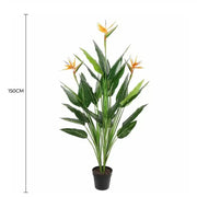 Artificial Potted 150cm Bird of Paradise Plant V637-DP1159633
