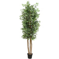 Large Custom Made Ficus Tree 250cm V637-DP1159645