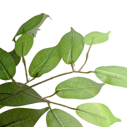 Large Custom Made Ficus Tree 250cm V637-DP1159645