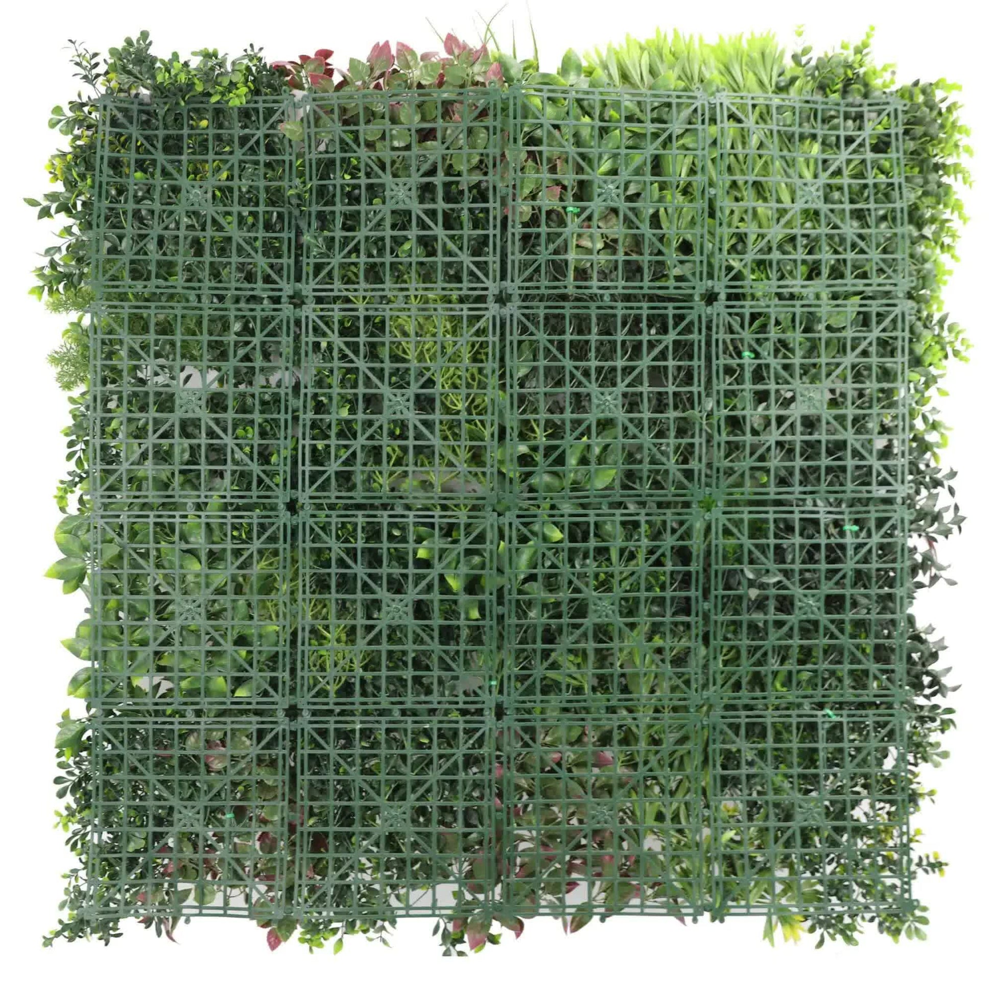 Luxury Evergreen Rainforest Recycled Vertical Garden / Green Wall UV Resistant Sample V637-DP1169949-S