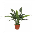 Artificial Spathiphyllum Peace Lily Plant with White Flowers 60cm V637-DP1188134
