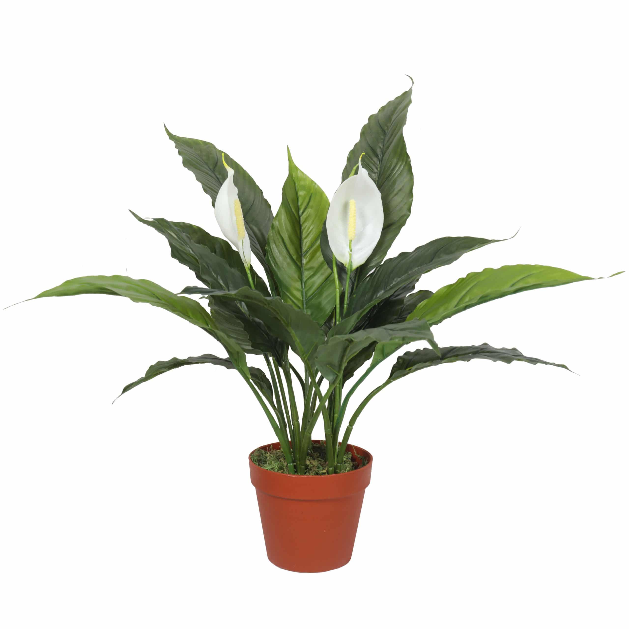 Artificial Spathiphyllum Peace Lily Plant with White Flowers 60cm V637-DP1188134