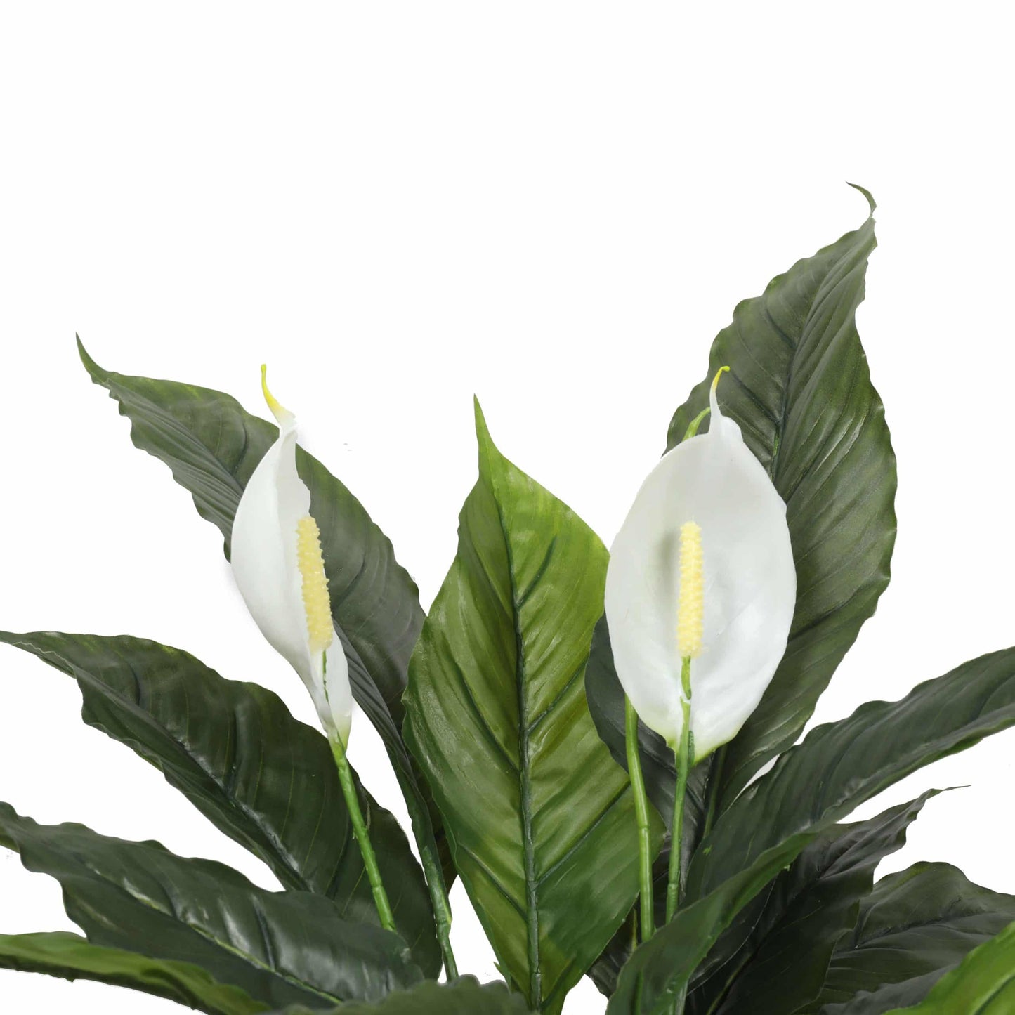 Artificial Spathiphyllum Peace Lily Plant with White Flowers 60cm V637-DP1188134