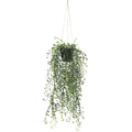 Artificial Hanging Pearls (Potted) 56cm UV Resistant V637-DP1189282