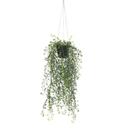 Artificial Hanging Pearls (Potted) 56cm UV Resistant V637-DP1189282