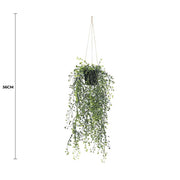 Artificial Hanging Pearls (Potted) 56cm UV Resistant V637-DP1189282