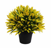 UV Treated 20cm Small Potted Plants Bundle V637-DP1190646
