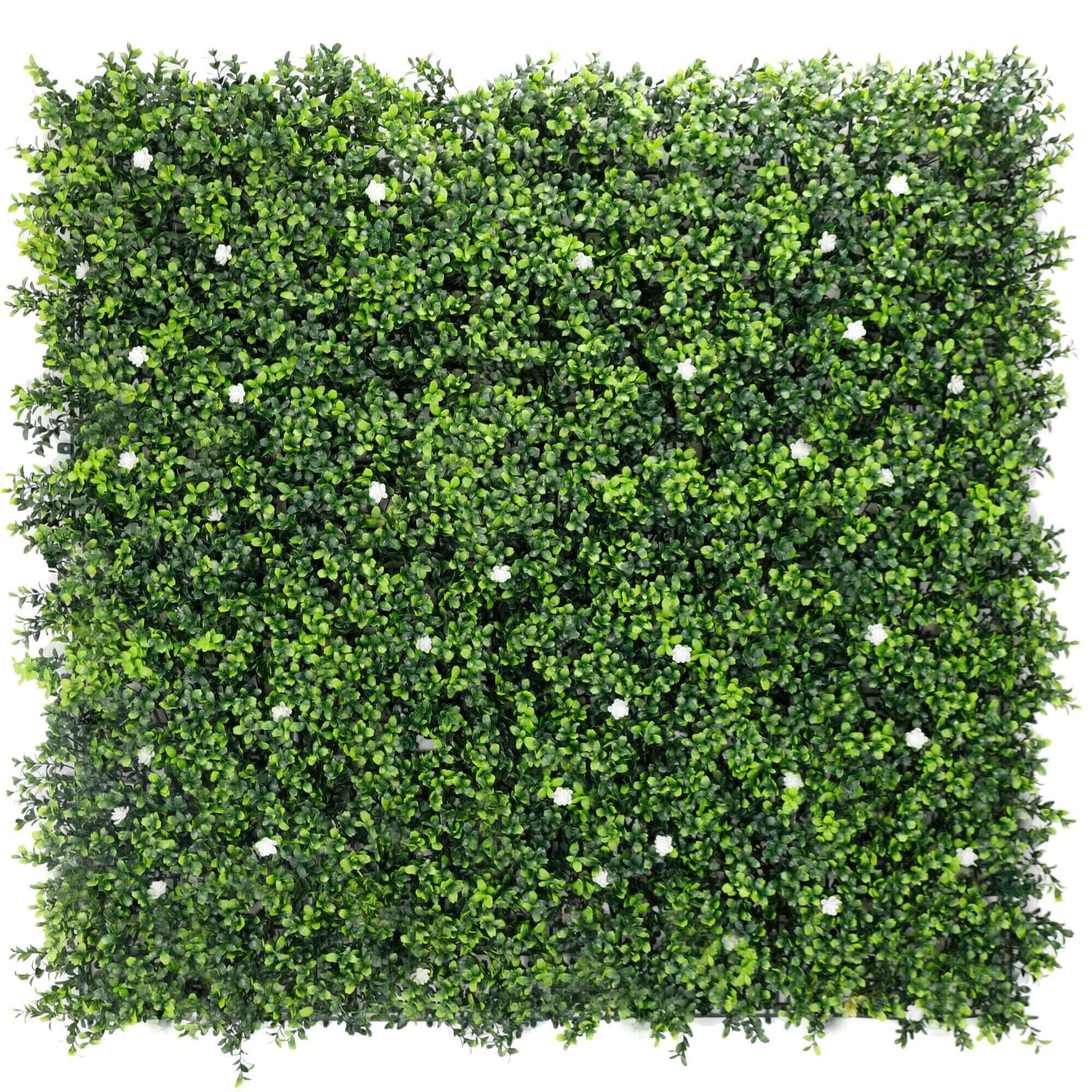 Luxury Flowering Artificial Buxus Hedge Panel UV Resistant Sample V637-DP119067