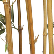 Premium Natural Cane Artificial Bamboo (UV Resistant) 150cm V637-DP1193905