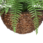 Large Artificial Hanging Basket (Fern Hanging Basket) UV Resistant V637-DP1193907