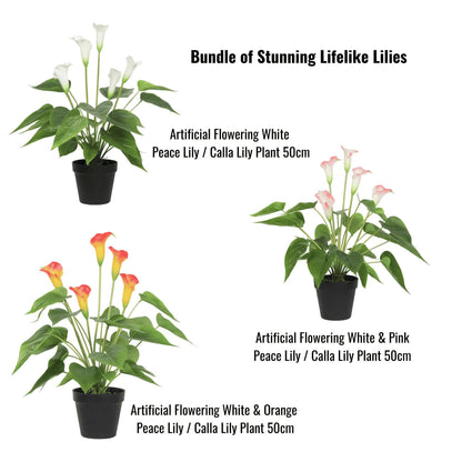 Stunning Lifelike Lilies Bundle V637-DP1194091