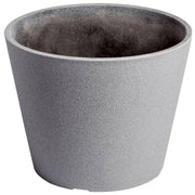 Premium Areca Palm Tree and Render Pot Bundle V637-DP1194094