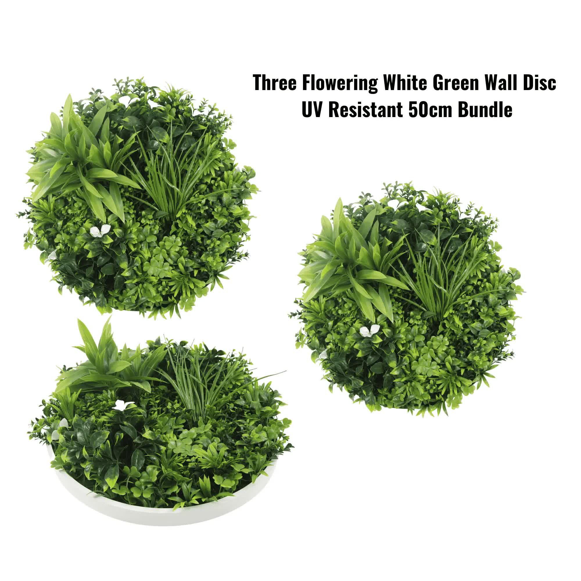 Three Flowering White Green Wall Disc UV Resistant 50cm Bundle V637-DP1194104