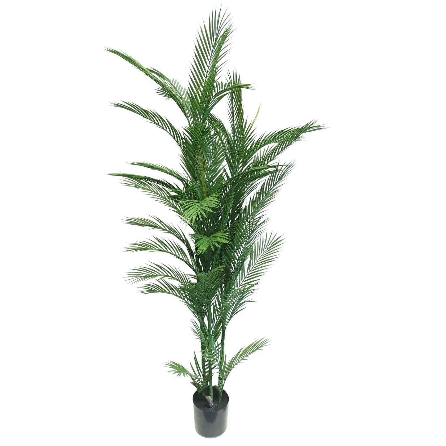 Real Touch Artificial Phoenix Palm Tree UV Resistant 180cm V637-DP1219228