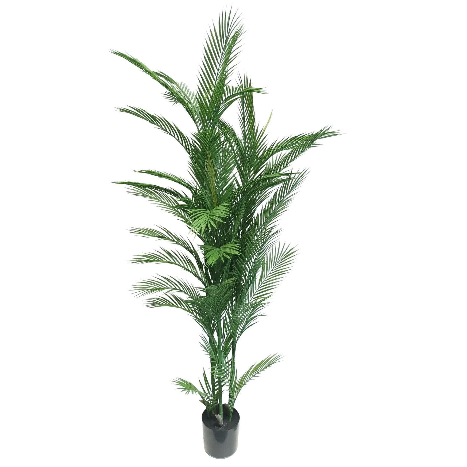 Real Touch Artificial Phoenix Palm Tree UV Resistant 180cm V637-DP1219228