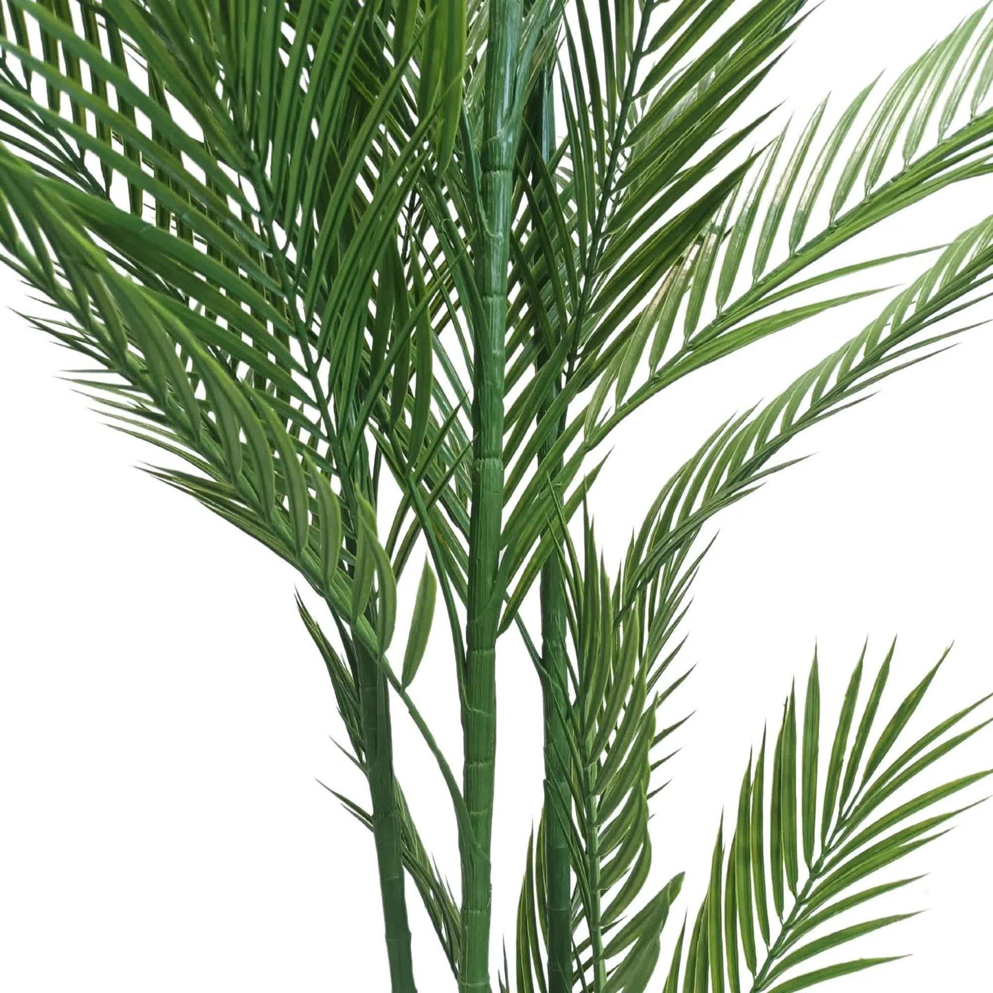Real Touch Artificial Phoenix Palm Tree UV Resistant 180cm V637-DP1219228