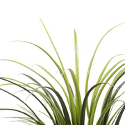 Potted Artificial Long Grass (Yucca Grass) 75cm UV Resistant V637-DP1219243
