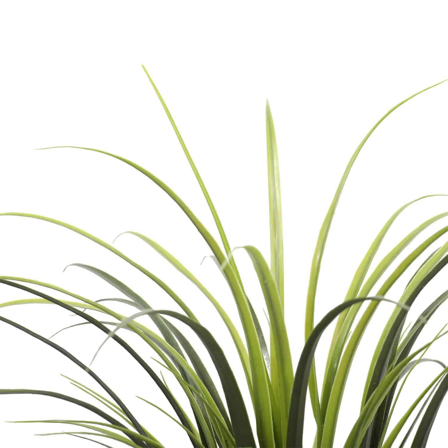 Potted Artificial Long Grass (Yucca Grass) 75cm UV Resistant V637-DP1219243