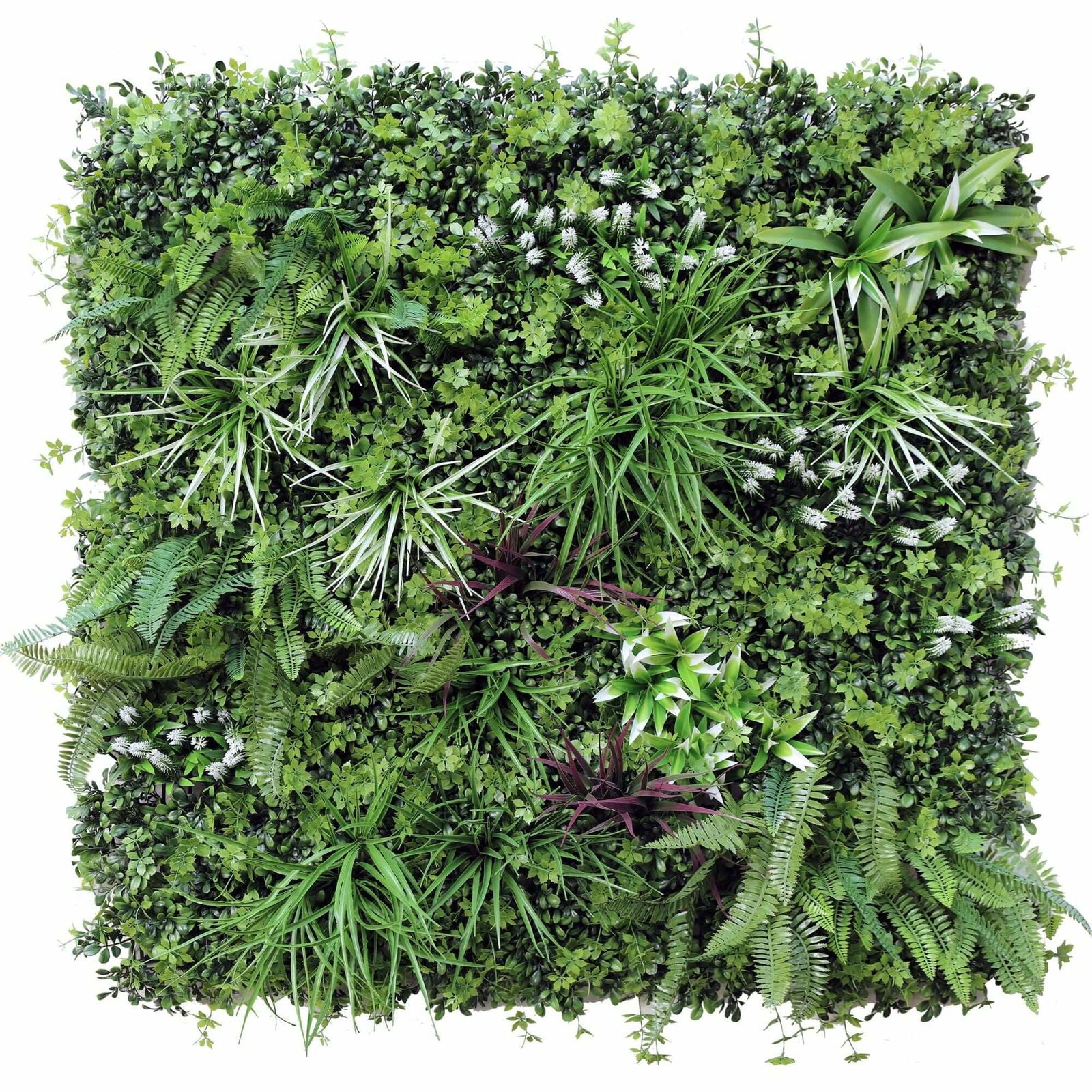 Luxury Vista Green Recycled Vertical Garden / Green Wall UV Resistant Sample V637-DP1220998