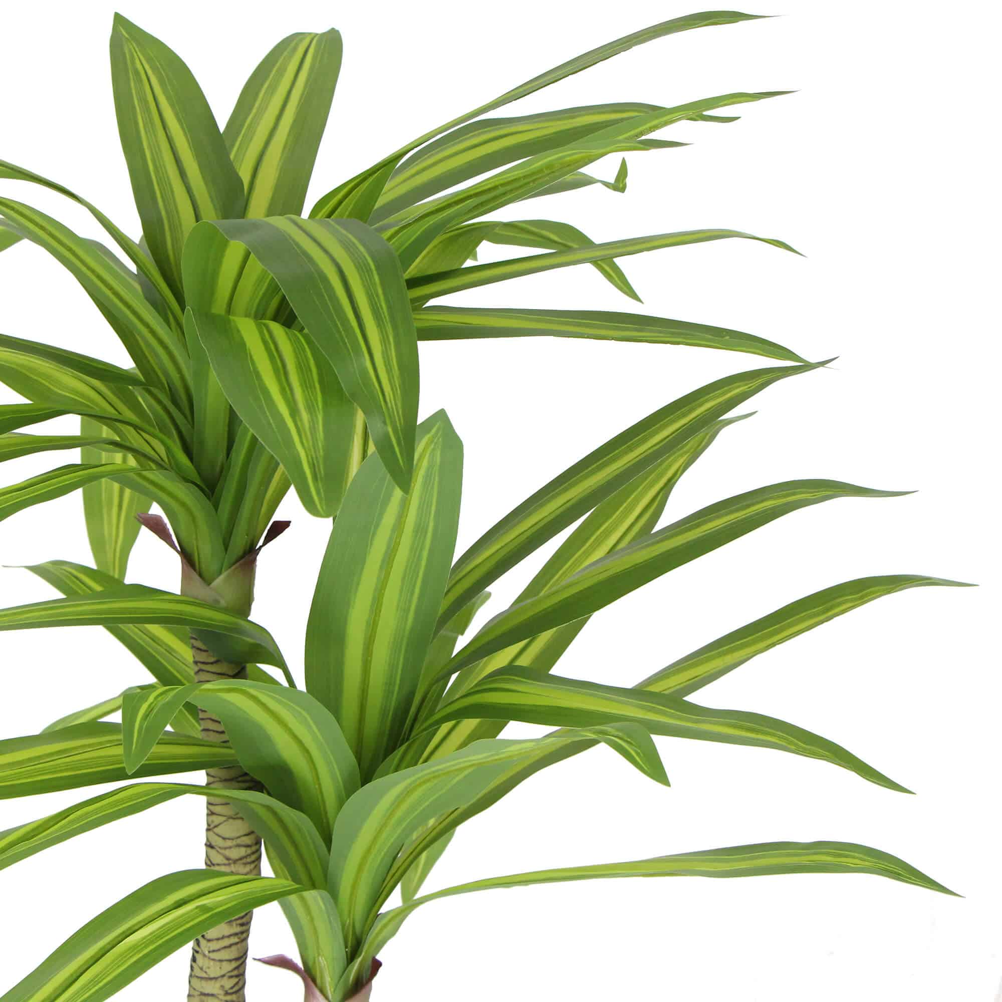 Artificial Multi Head Dracaena Tree with Mixed Green Leaves (Real Touch) 130cm V637-DP1222455