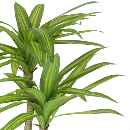 Artificial Multi Head Dracaena Tree with Mixed Green Leaves (Real Touch) 130cm V637-DP1222455