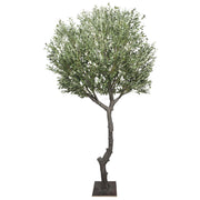Nearly Natural Extra Large Olive Tree with Olives 285cm V637-DP1223753