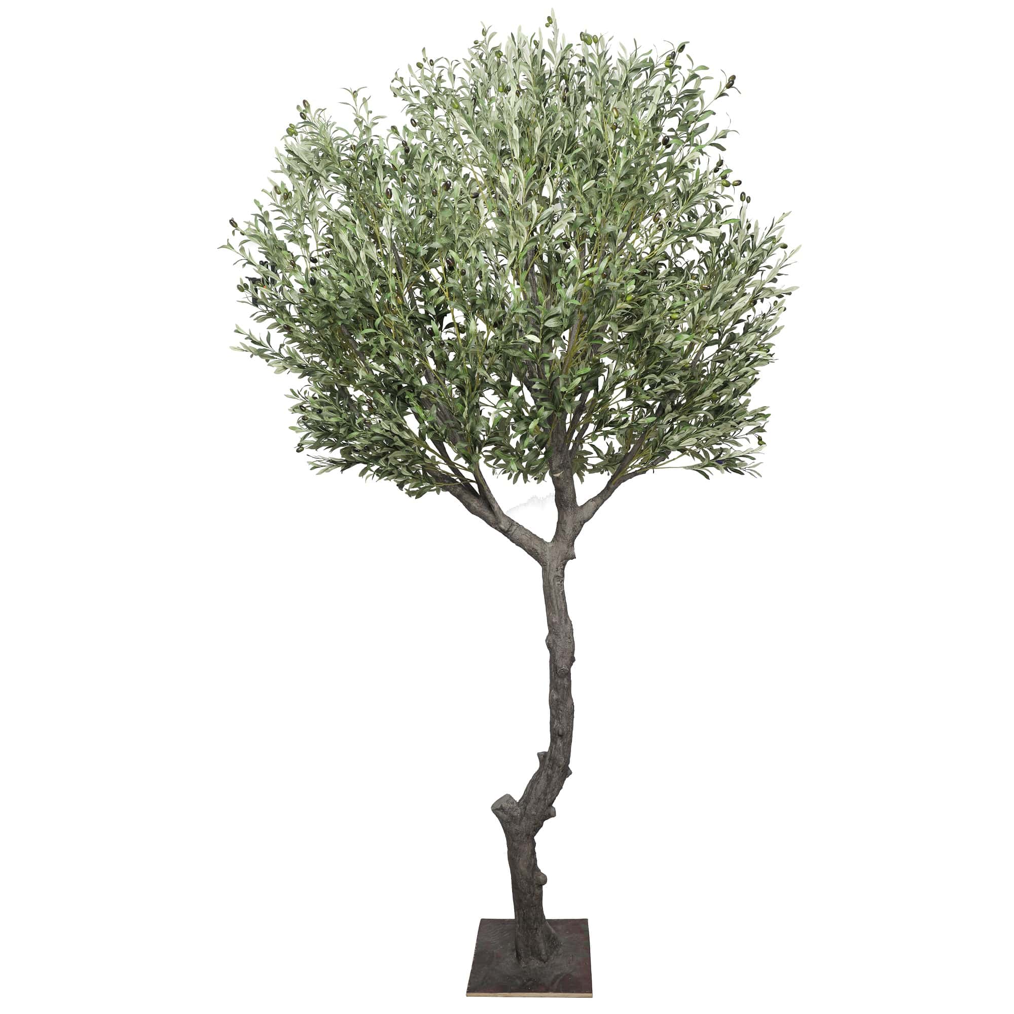 Nearly Natural Extra Large Olive Tree with Olives 285cm V637-DP1223753