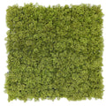 Nearly Natural Moss Panel UV Resistant 100cm x 100cm (Back Order Only) V637-DP1225241
