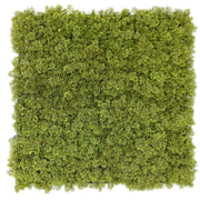 Nearly Natural Moss Panel UV Resistant 100cm x 100cm (Back Order Only) V637-DP1225241