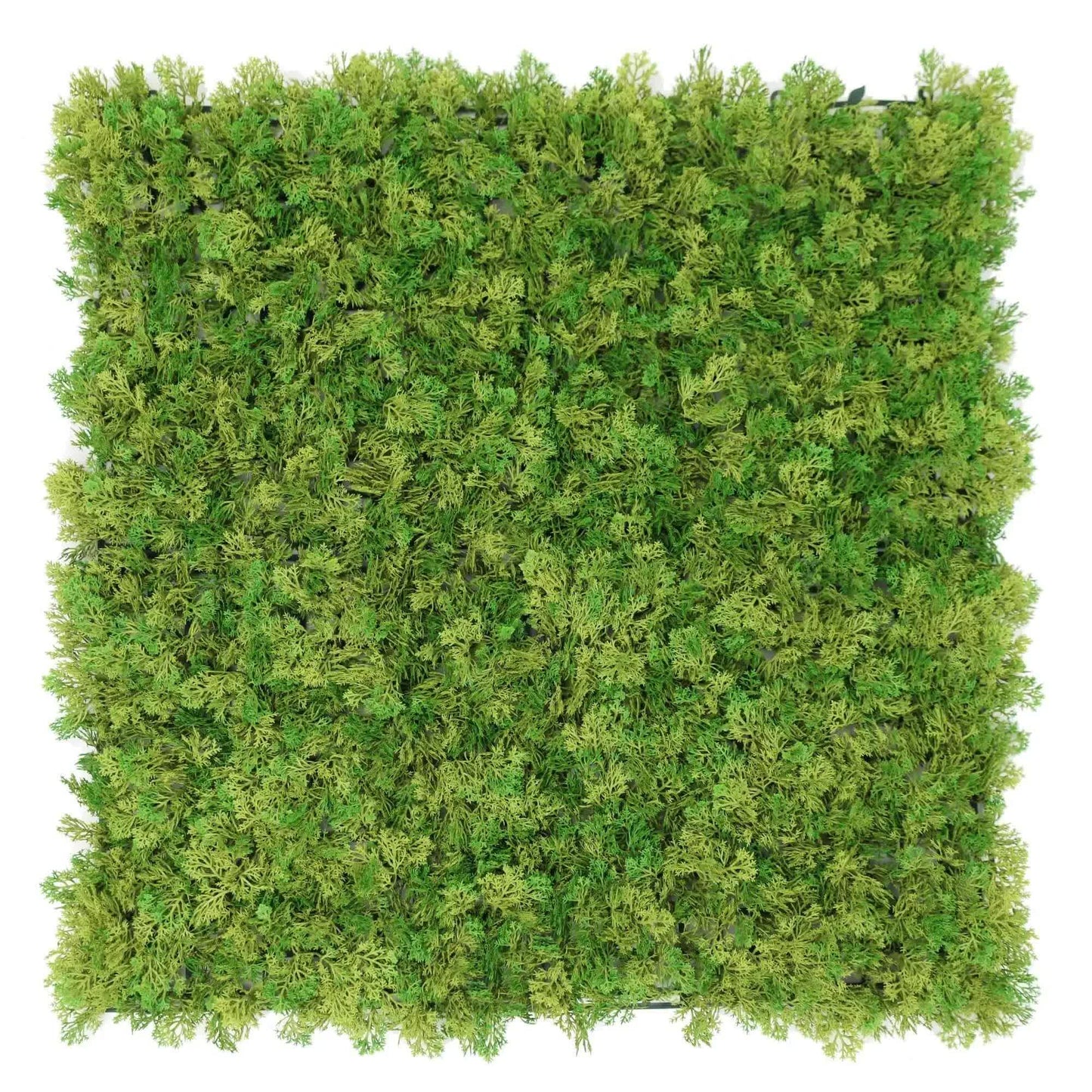 Nearly Natural Two-tone Moss Panel UV Resistant 100cm x 100cm (Back Order Only) V637-DP1225246
