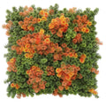 Mixed Orange and Green Moss Panel UV Resistant 100cm x 100cm (Back Order Only) V637-DP1225251