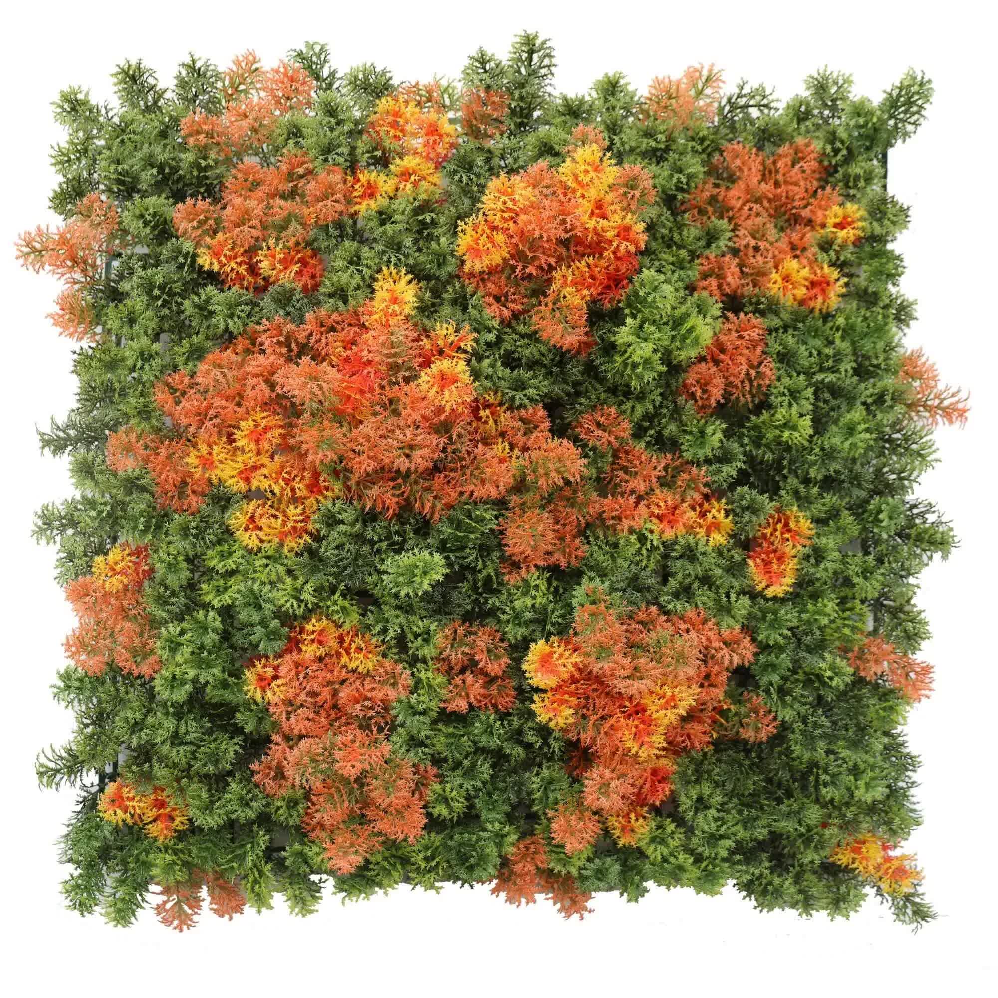 Mixed Orange and Green Moss Panel UV Resistant 100cm x 100cm (Back Order Only) V637-DP1225251