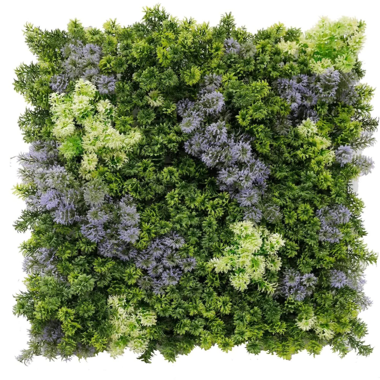 Vivid Purple and Green Moss Panel UV Resistant 100cm x 100cm (Back Order Only) V637-DP1225254