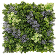 Vivid Purple and Green Moss Panel UV Resistant 100cm x 100cm (Back Order Only) V637-DP1225254