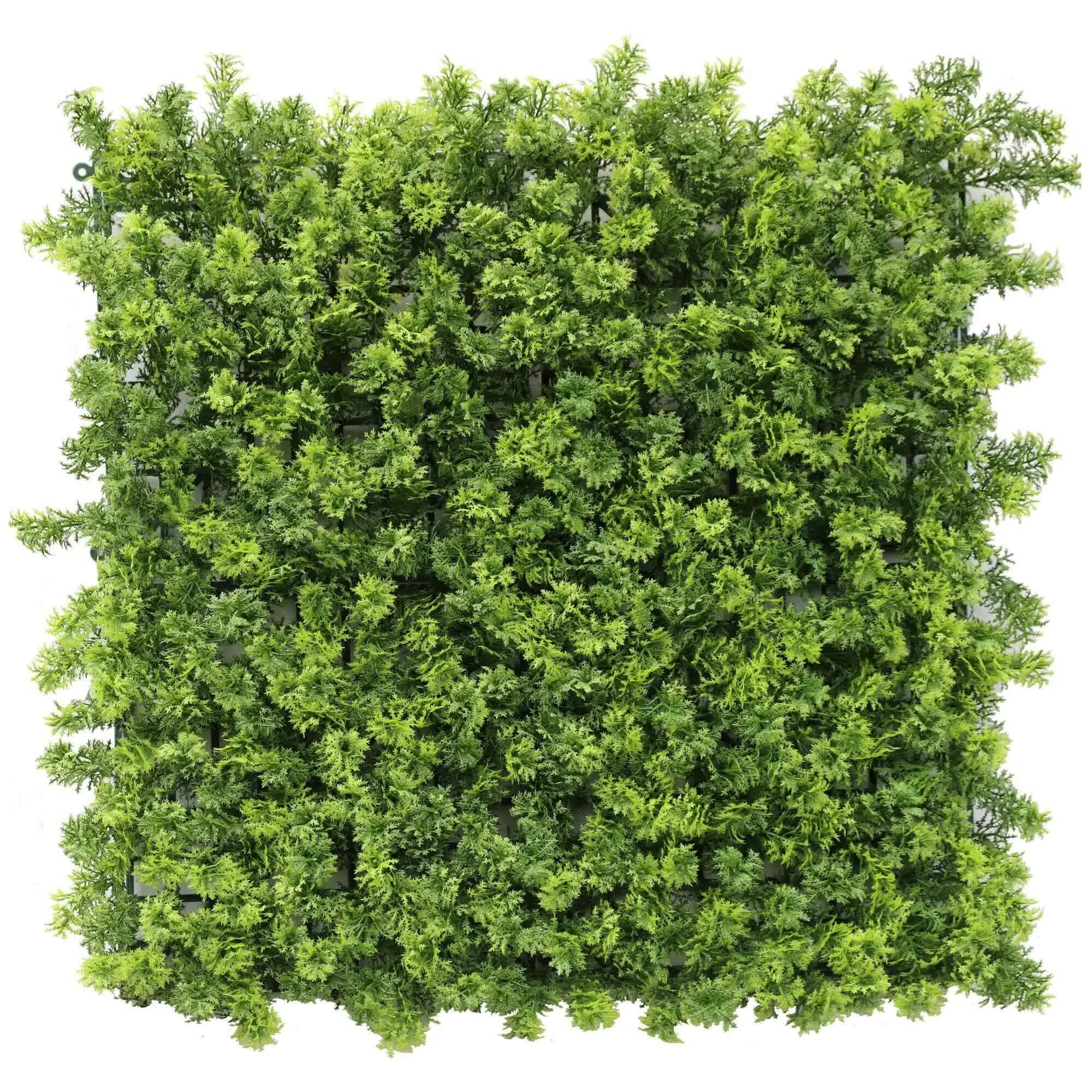 Green Moss Panel UV Resistant 100cm x 100cm (Back Order Only) V637-DP1225257