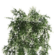 Artificial Hanging Star Jasmine Vine UV Resistant and Fire Rated 20cm x 76cm V637-DP1248FR