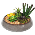 Potted Artificial Succulents with Round Decorative Bowl 19cm V637-DP1780016