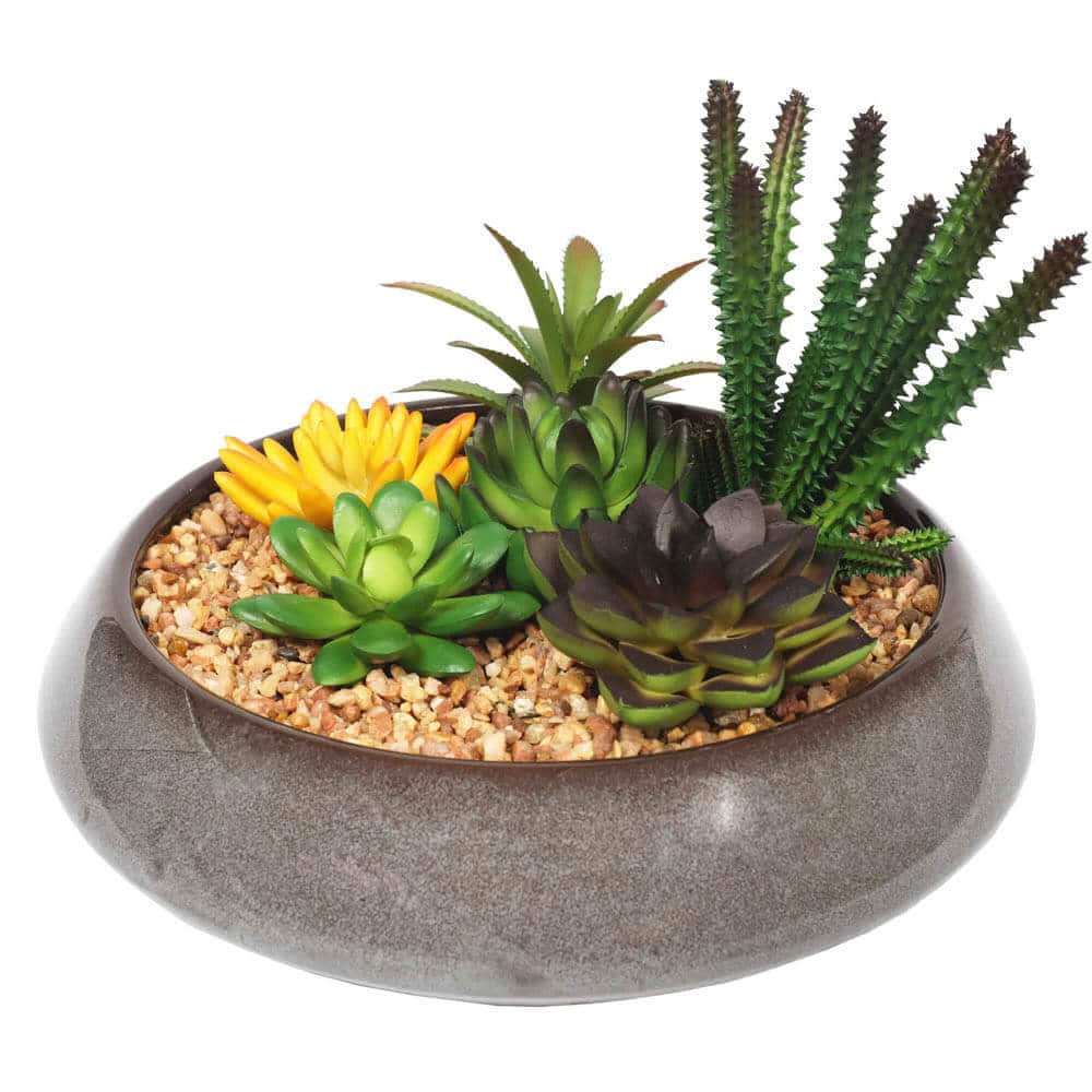 Potted Artificial Succulents with Round Decorative Bowl 19cm V637-DP1780016