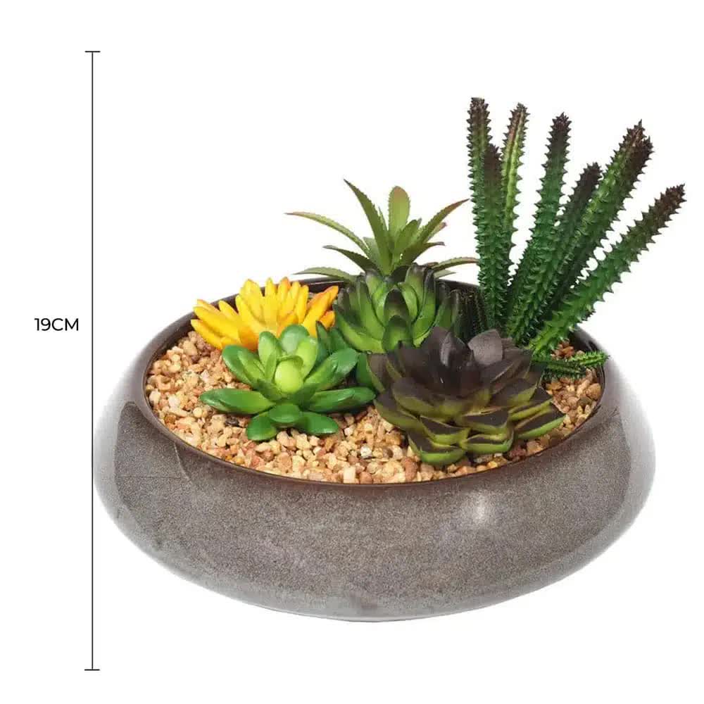 Potted Artificial Succulents with Round Decorative Bowl 19cm V637-DP1780016