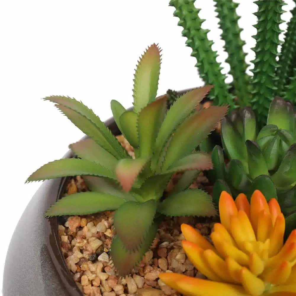 Potted Artificial Succulents with Round Decorative Bowl 19cm V637-DP1780016