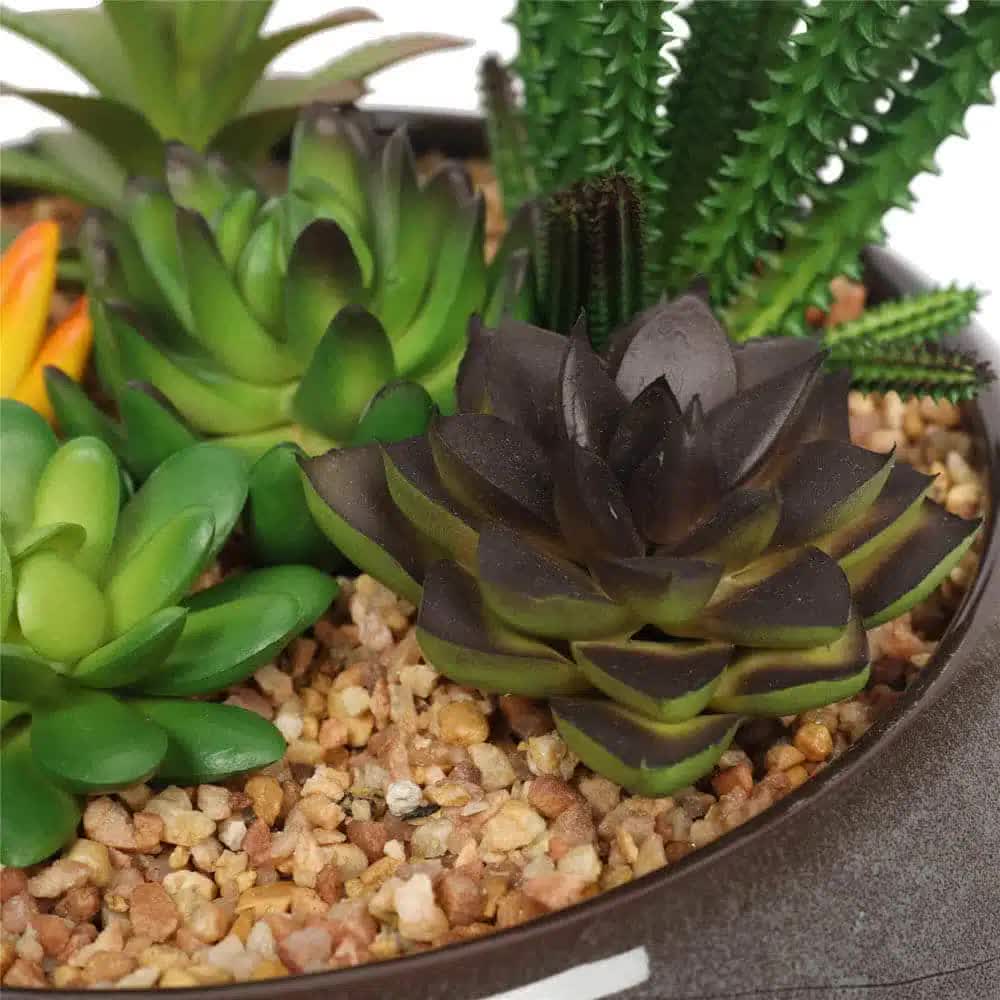 Potted Artificial Succulents with Round Decorative Bowl 19cm V637-DP1780016