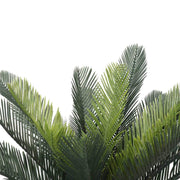 Artificial Cyca (Cycad) Plant 60cm V637-DP1890006