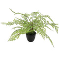 Faux Small Potted Fern 35cm V637-DP1890011